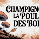 champignon la poule des bois stylisé base arbre forêt
