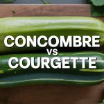 concombre et courgette côte à côte fraîcheur visuelle