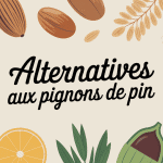 assortiment alternatives par quoi remplacer les pignons de pin