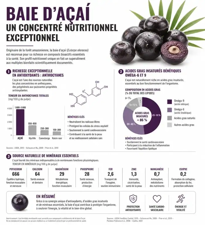Infographie des bienfaits nutritionnels et antioxydants de l'açai
