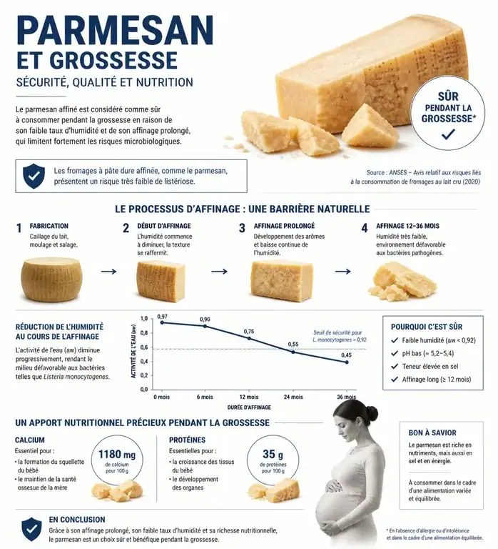 Infographie sécurité alimentaire et bienfaits nutritionnels du parmesan pendant la grossesse